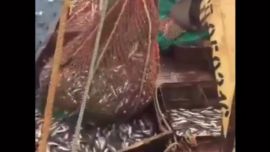 990pescadoresrusia