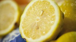 1121_acuerdo con eeuu por limones