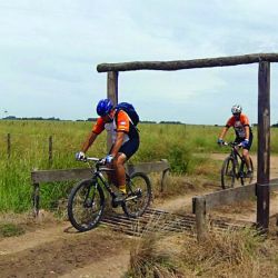 guardaganado-en-camino-vecinal