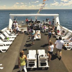 paseo-en-catamaran-por-la-costa-de-madryn