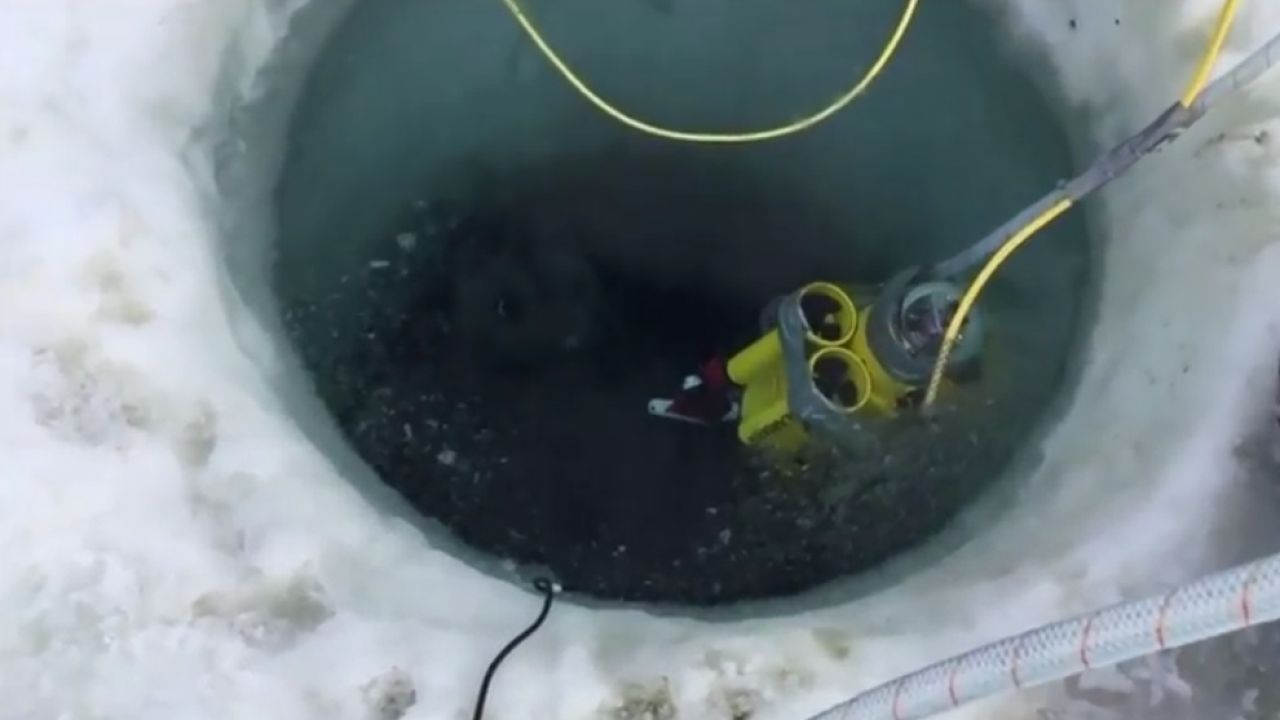 Video: sorprendente hallazgo debajo del hielo antártico | Weekend