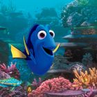 Buscando a Dory