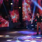 pedro-alfono-flor-vigna-3