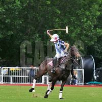 polo-2