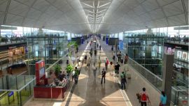 lo_que_distingue_un_519583226