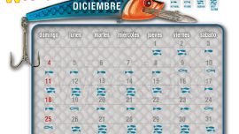 pique-mes-diciembre