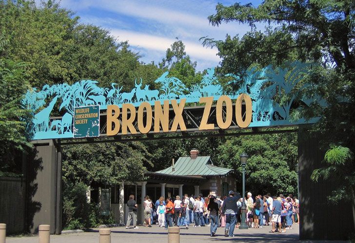 Organizaciones querían que el zoológico de Buenos Aires sea similar al del Bronx de Nueva York o el de Berlín.