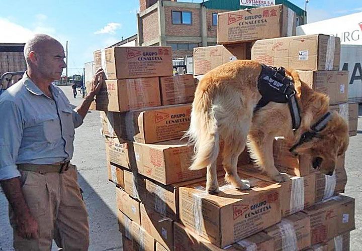 la causa. Por primera vez, dos de los acusados señalaron al jefe de la Aduana. El funcionario sigue apuntando a los servicios de inteligencia involucrados en el negocio.  