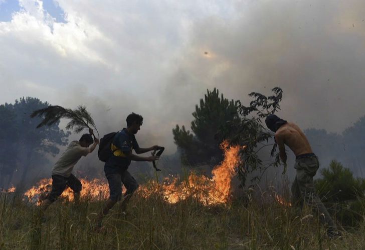 El fuego se extiende en los bosques de Valeria del Mar y Cariló. 