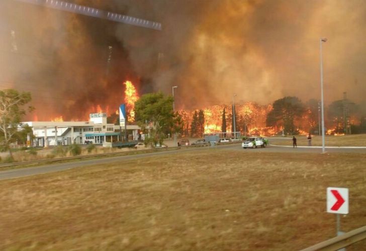 Fuerte incendio se extiende en Cariló y Valeria del Mar. 