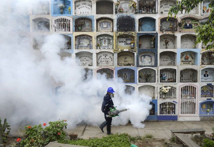 Un especialista fumigará el cementerio de Nueva Esperanza en las afueras de Lima el 15 de enero de 2016.