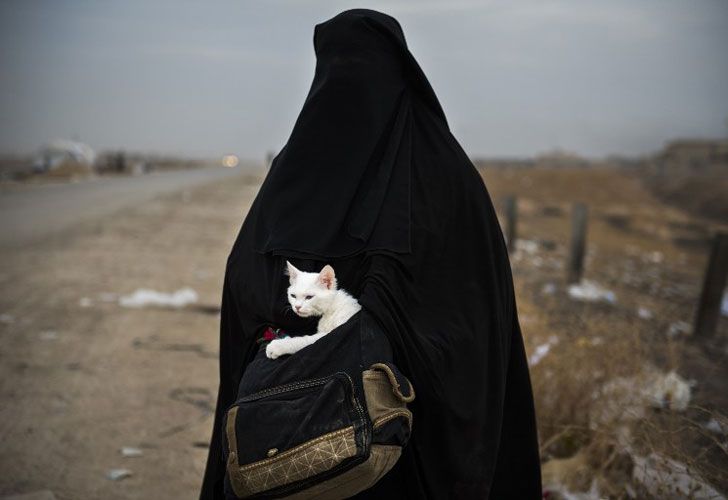 Una mujer iraquí desplazada sostiene a su gato, Lulu, mientras espera el transporte en el pueblo de control de Kurdish iraquí de Shaqouli, a unos 35 kilómetros al este de Mosul, el 10 de noviembre de 2016, después de huir de su casa con sus hijos en el vecindario oriental Intisar De la abatida ciudad para refugiarse en un campamento en Arbil.