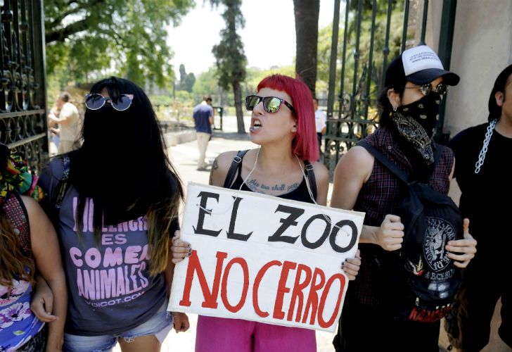 Manifestantes reclamaron en las puertas del Zoo porteño por la liberación de los animales.