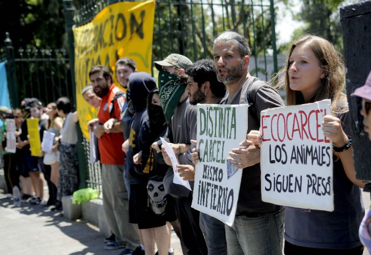 Manifestantes reclamaron en las puertas del Zoo porteño por la liberación de los animales.