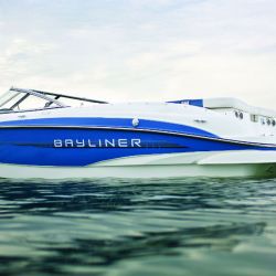 Bayliner 250 (13)
