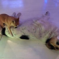 img-1429