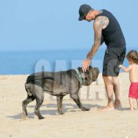 tinelli-6
