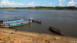 Monos_aulladores_y_v_47941621