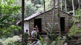 viaje_al_paradis_aco_520166788