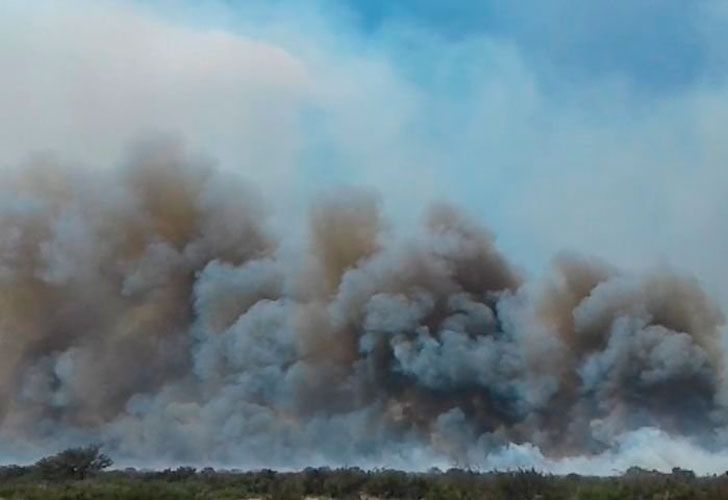 Incendios forestales de La Pampa y Río Negro