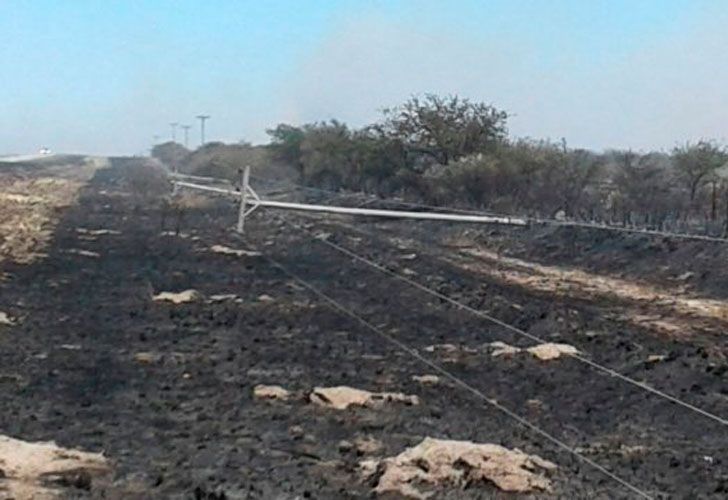 Incendios forestales de La Pampa y Río Negro