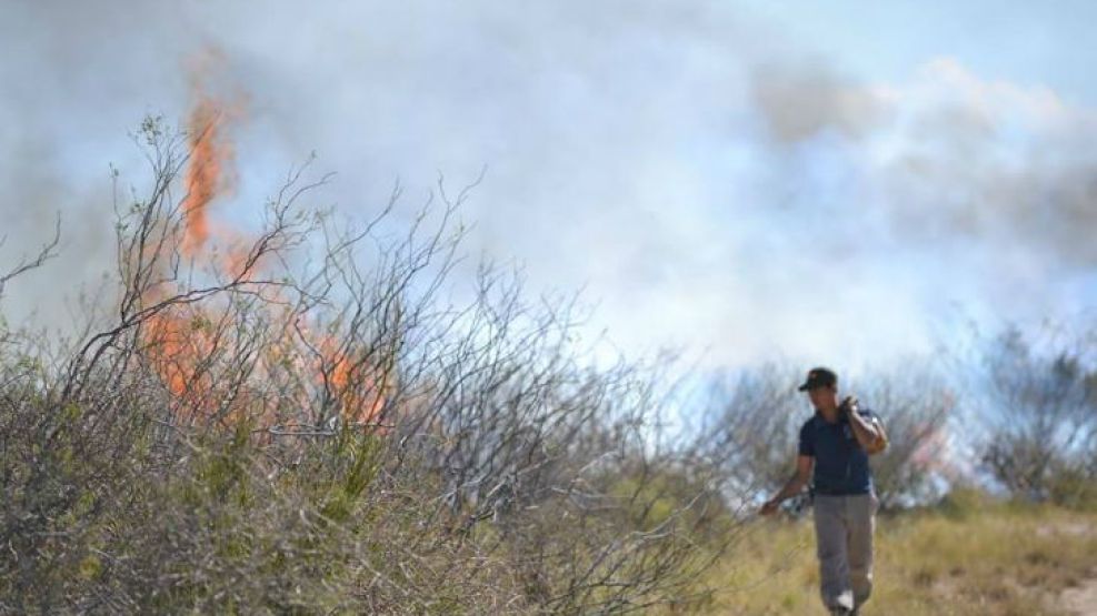 Incendio forestal en Guardia Mitre, Río Negro..
