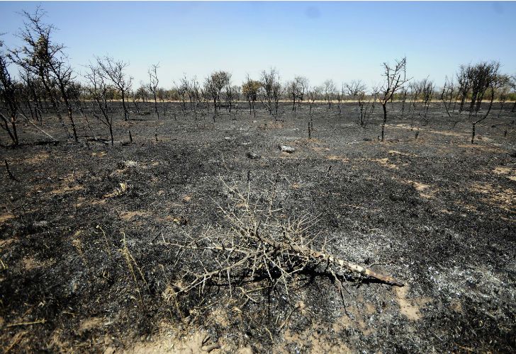 Nuevos focos de incendio en La Pampa.