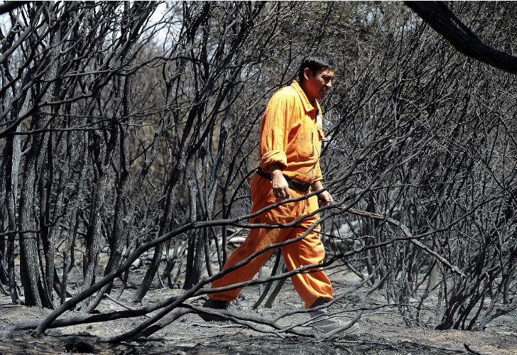 Nuevos focos de incendio en La Pampa.