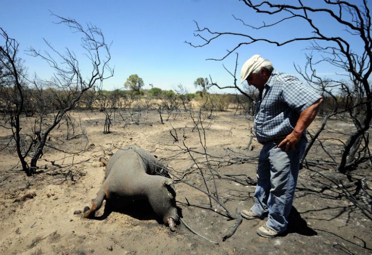 Nuevos focos de incendio en La Pampa.