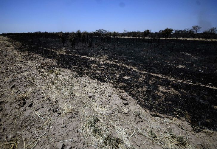 Nuevos focos de incendio en La Pampa.