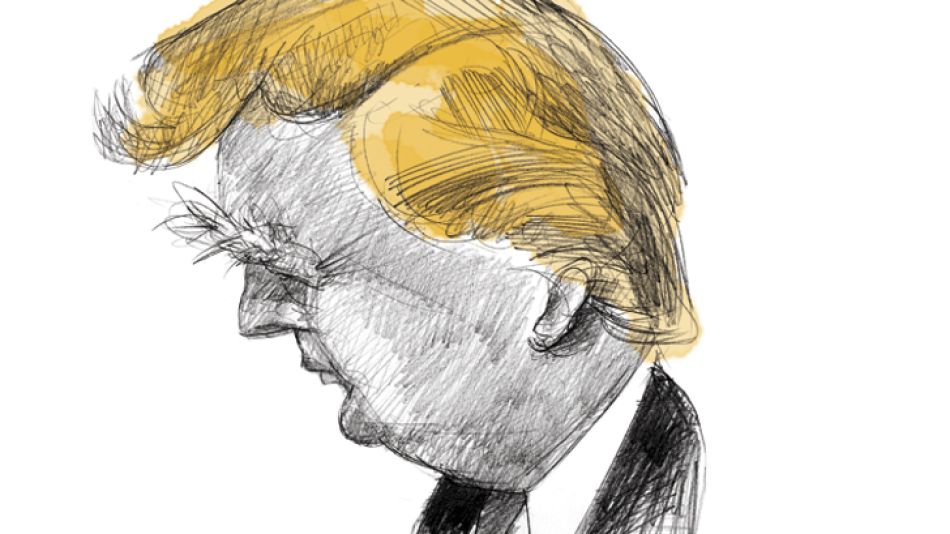 Trump Temes