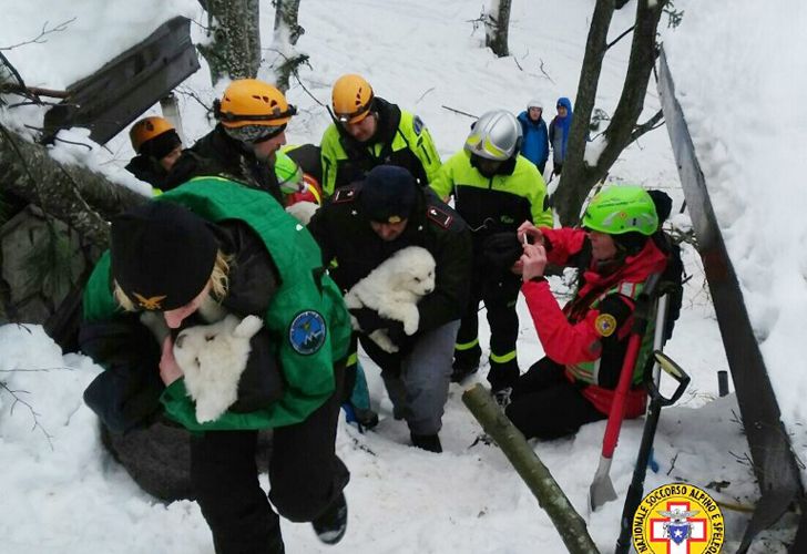 Un folleto publicado el 23 de enero de 2017 por el Corpo Nazionale Soccorso Alpino e Speleologico (CNSAS) muestra un equipo de rescate llevando cachorros encontrados en el Hotel Rigopiano, cerca del pueblo de Farindola, en las faldas orientales del Gran Sasso montaña. El bombero Fabio Jerman dijo que tres cachorros habían sido encontrados vivos hoy en uno de los bolsillos de aire bajo los escombros, que dijo que era "un signo importante de la vida que nos da esperanza". Los rescatadores italianos sacaron a nueve sobrevivientes del hotel golpeado por una avalancha el 18 de enero de 2016 y continúan buscando a las 23 personas aún atrapadas bajo las ruinas. Una sexta víctima fue sacada de los escombros y la nieve ayer