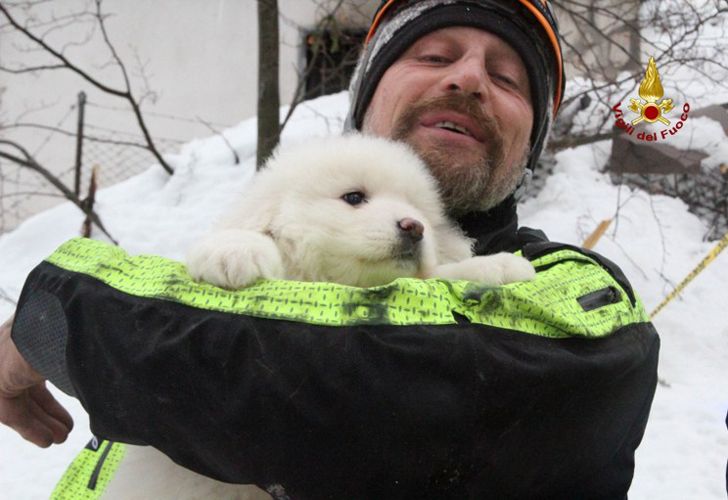 Un folleto publicado el 23 de enero de 2017 por el Corpo Nazionale Soccorso Alpino e Speleologico (CNSAS) muestra un equipo de rescate llevando cachorros encontrados en el Hotel Rigopiano, cerca del pueblo de Farindola, en las faldas orientales del Gran Sasso montaña. El bombero Fabio Jerman dijo que tres cachorros habían sido encontrados vivos hoy en uno de los bolsillos de aire bajo los escombros, que dijo que era "un signo importante de la vida que nos da esperanza". Los rescatadores italianos sacaron a nueve sobrevivientes del hotel golpeado por una avalancha el 18 de enero de 2016 y continúan buscando a las 23 personas aún atrapadas bajo las ruinas. Una sexta víctima fue sacada de los escombros y la nieve ayer