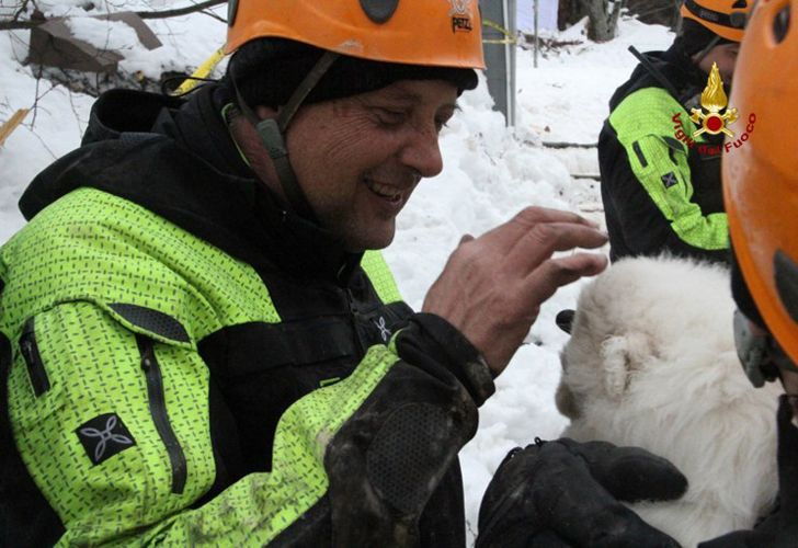 Un folleto publicado el 23 de enero de 2017 por el Corpo Nazionale Soccorso Alpino e Speleologico (CNSAS) muestra un equipo de rescate llevando cachorros encontrados en el Hotel Rigopiano, cerca del pueblo de Farindola, en las faldas orientales del Gran Sasso montaña. El bombero Fabio Jerman dijo que tres cachorros habían sido encontrados vivos hoy en uno de los bolsillos de aire bajo los escombros, que dijo que era "un signo importante de la vida que nos da esperanza". Los rescatadores italianos sacaron a nueve sobrevivientes del hotel golpeado por una avalancha el 18 de enero de 2016 y continúan buscando a las 23 personas aún atrapadas bajo las ruinas. Una sexta víctima fue sacada de los escombros y la nieve ayer