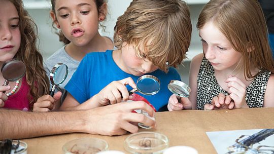 para todos. En el C3 desarrollan el amor por la ciencia: hay talleres para observar insectos o hacer barriletes. Los más “artistas” pueden elegir pintar o hacer títeres. Y en la Da Vinci aprenden programación y pintan con lápices 3D.