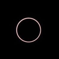 16906599-1219715884730848-3187902942464180224-n