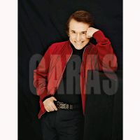 raphael-1