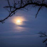 super-luna-nublada-ace51440-898f-4267-8e8c-b9062ddb2c02