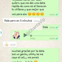 vicuna-12