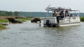 Paseo en barco por el canal de Kazinga en el Parque Nacional Queen Elizabeth en Uganda