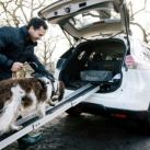 nissan-xtrail-4dogs