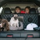 nissan-xtrail-4dogs-concept-1