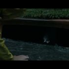 IT 2017 (2)