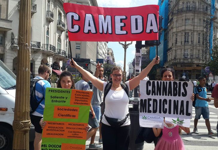 Cannabis