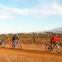 La Rioja-bicis en bodegas (2)