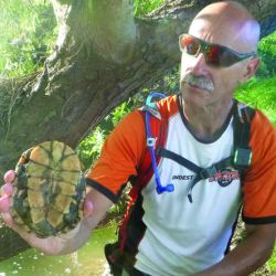 Tortugas en Trekking