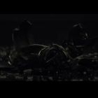 Star Wars The Last Jedi (4)