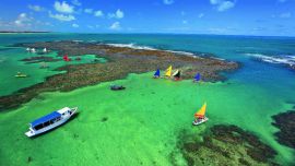 Porto do galinhas