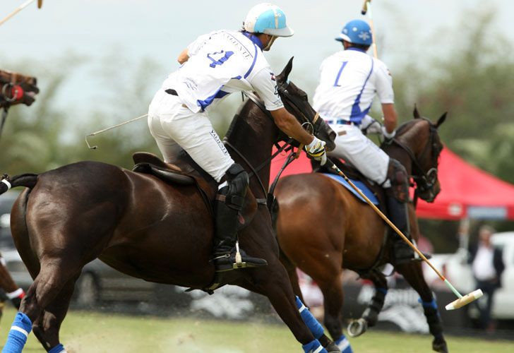 Polo Club de Palm Beach