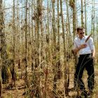 0503_brad_pitt_g11